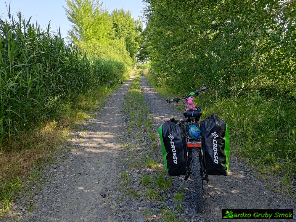 podlery za Słubicami