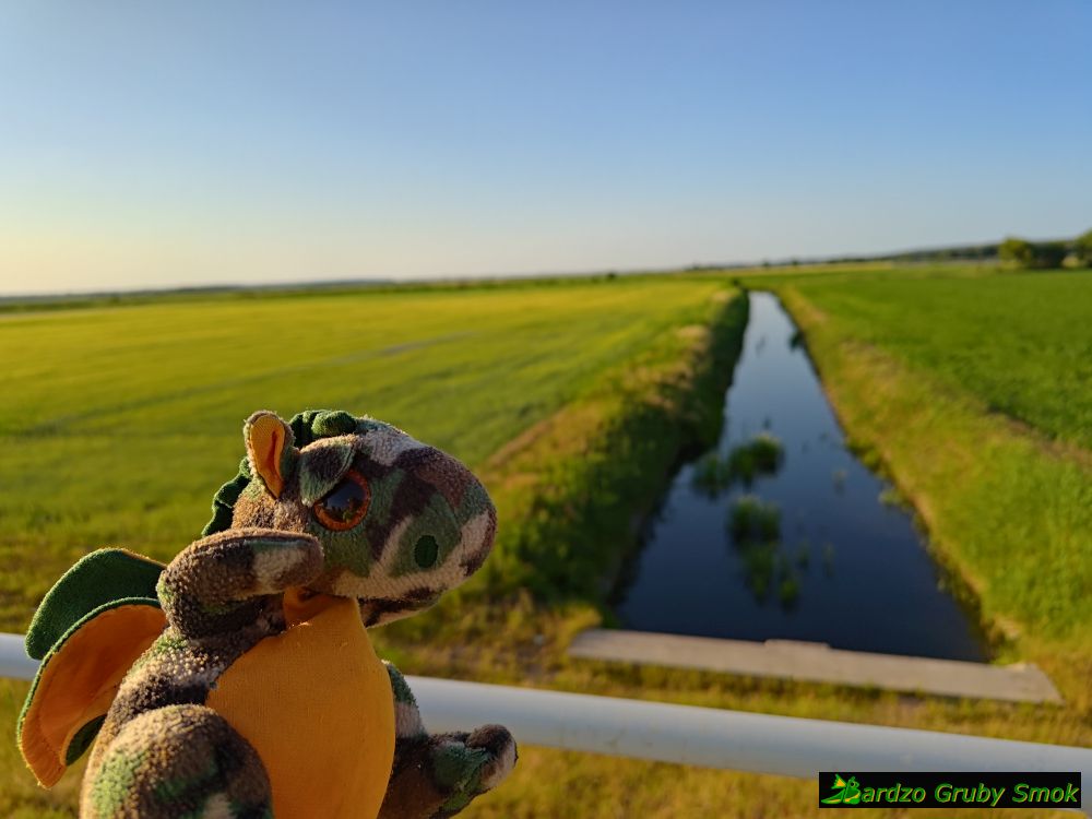 poldery koło Słubic