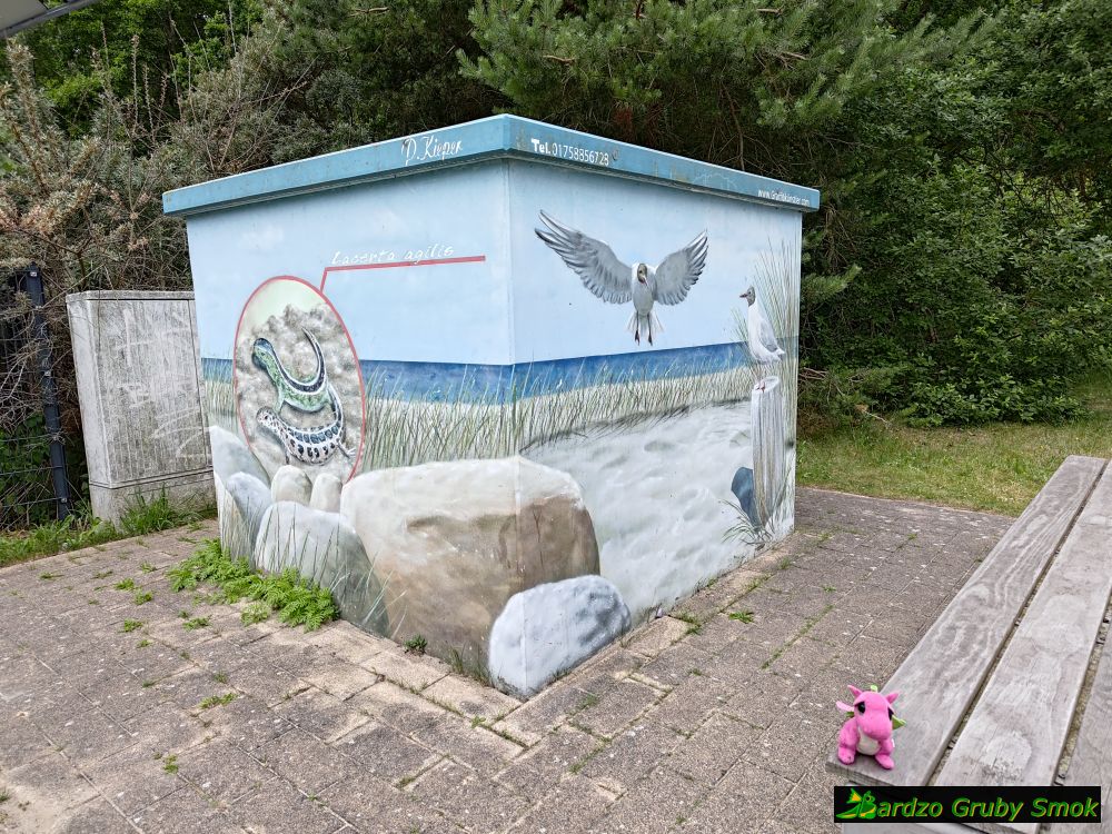 przejście graniczne w Świnoujściu