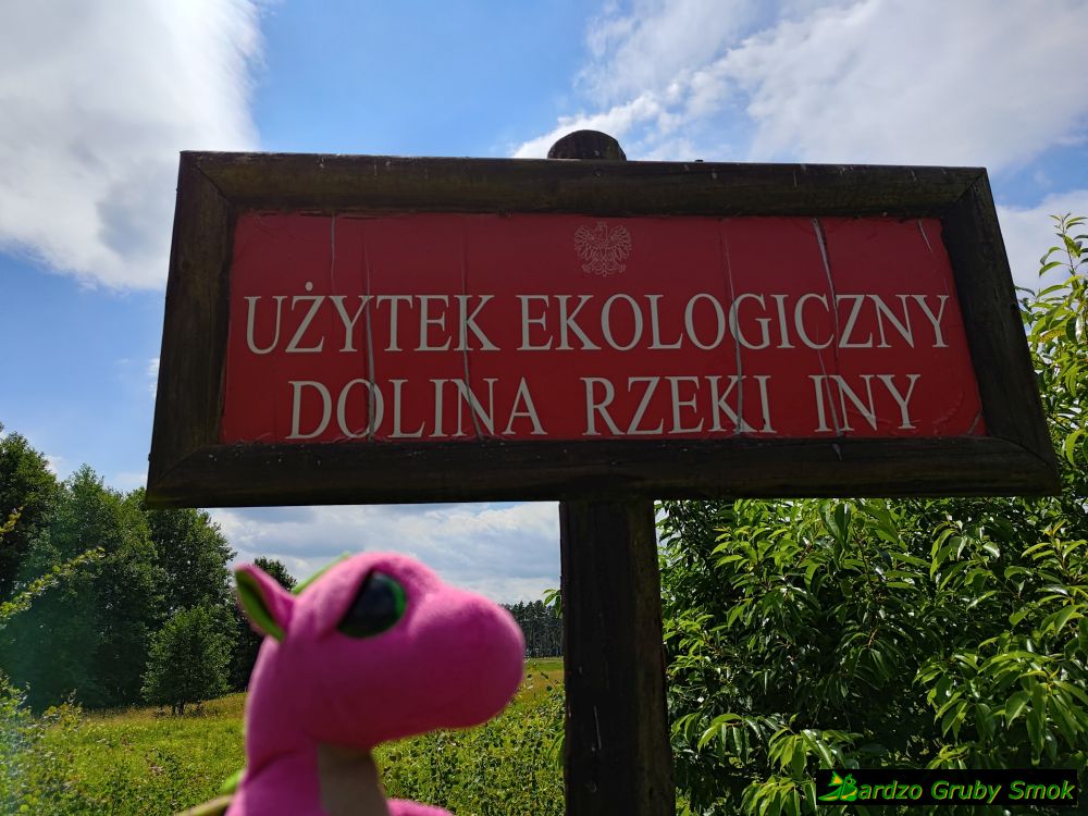 użytek ekologiczny Dolina Rzeki Iny