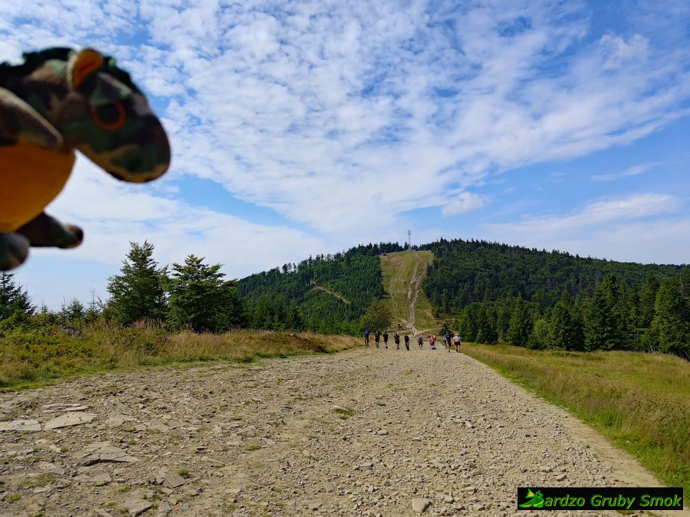 widok na Klimczok