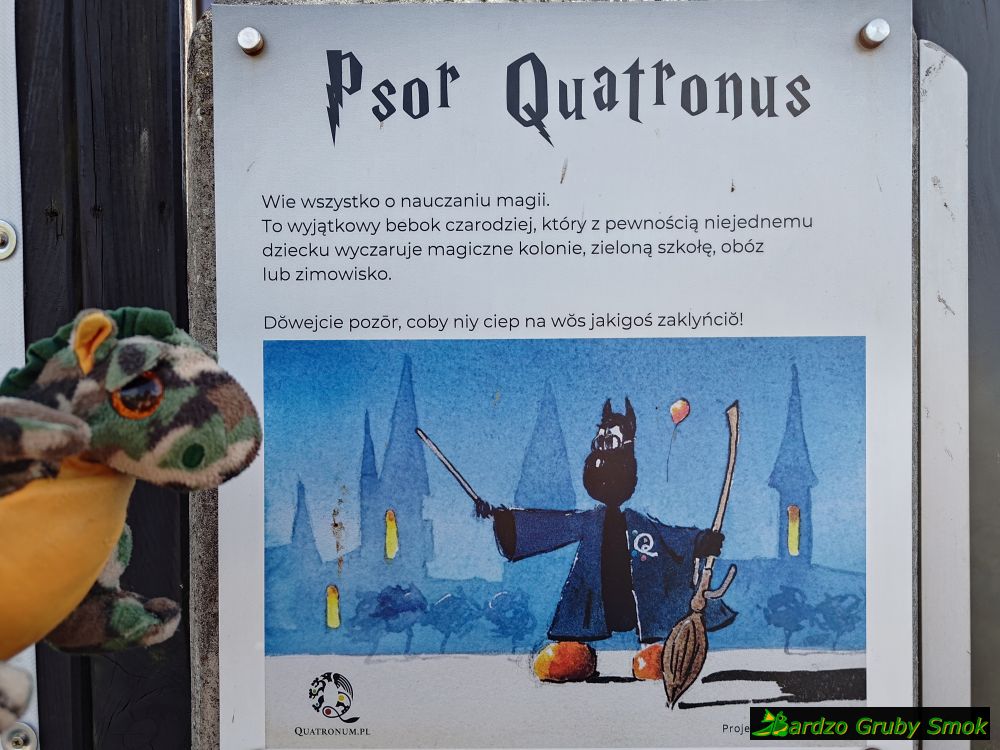 Psor Quatronus