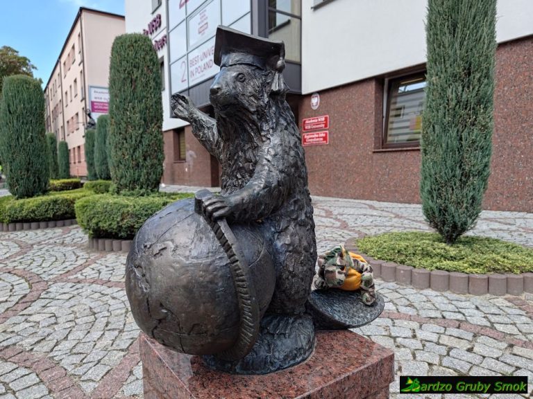Żak
