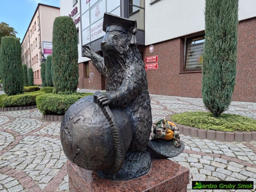 Żak