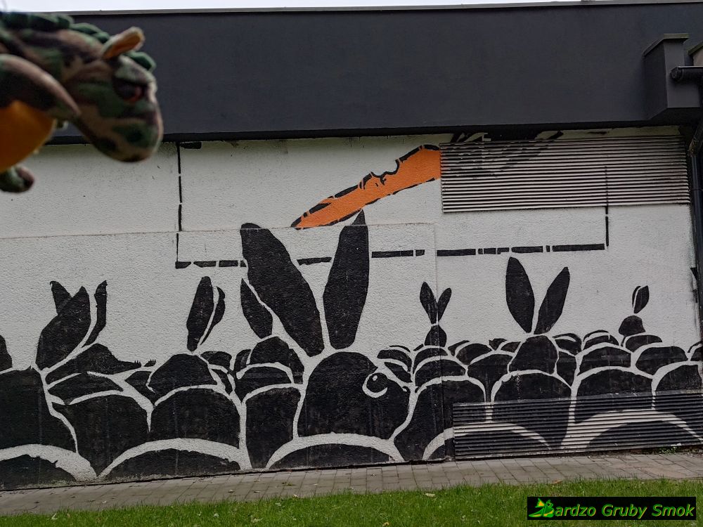 króliki w kinie
