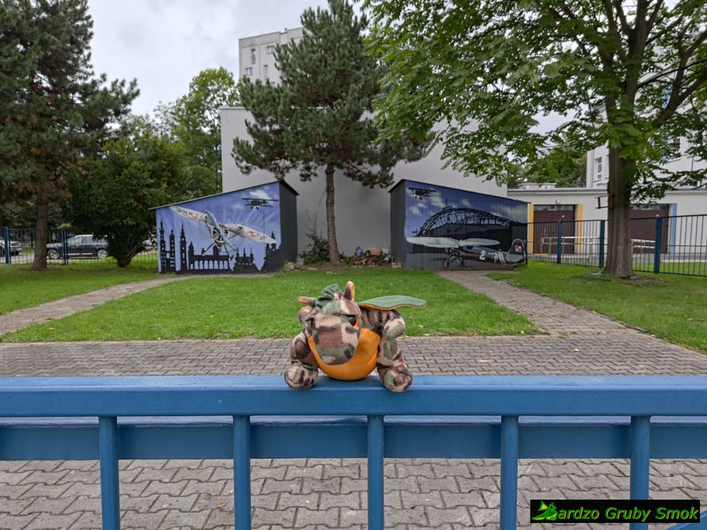 lotnisko w Czyżynach