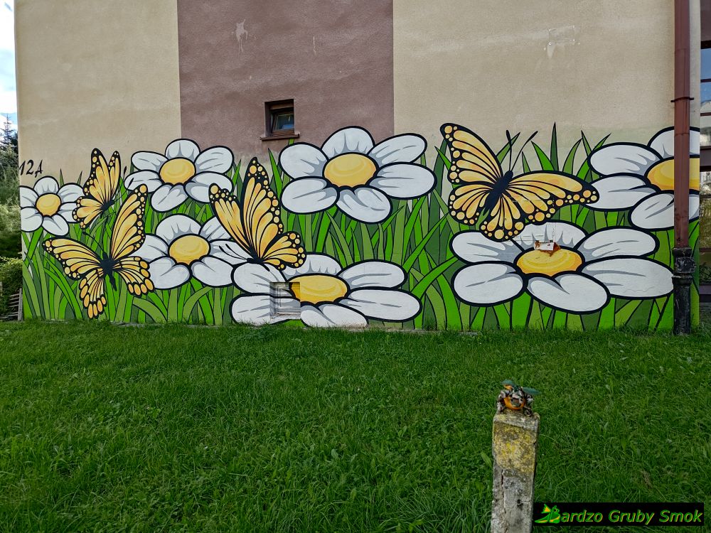 stokrotki i motyle