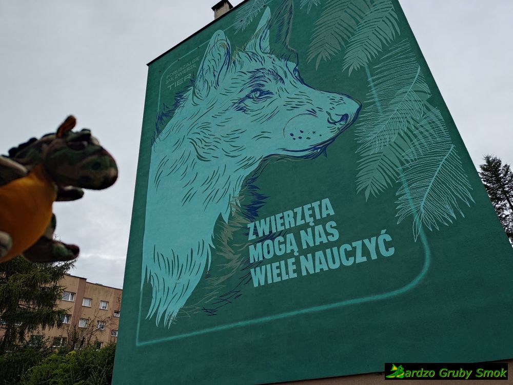 Zwierzęta mogą nas wiele nauczyć