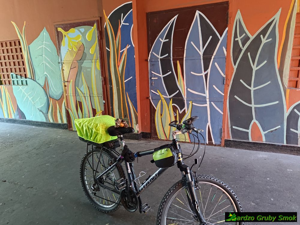 mural z motywem roślinnym w przejściu