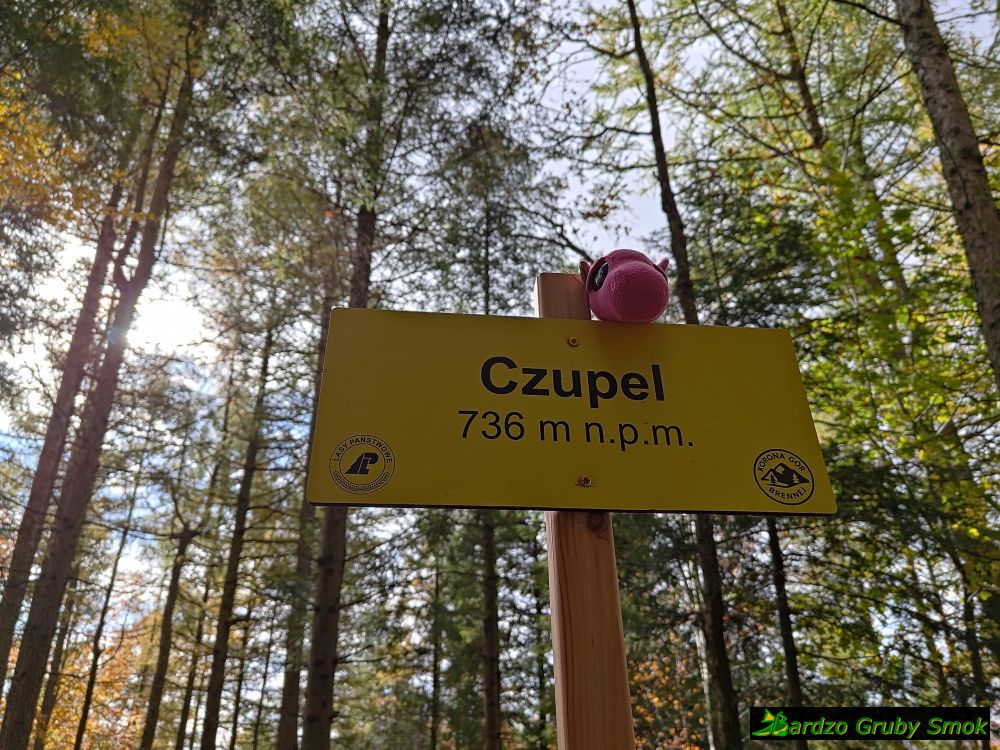 Czupel