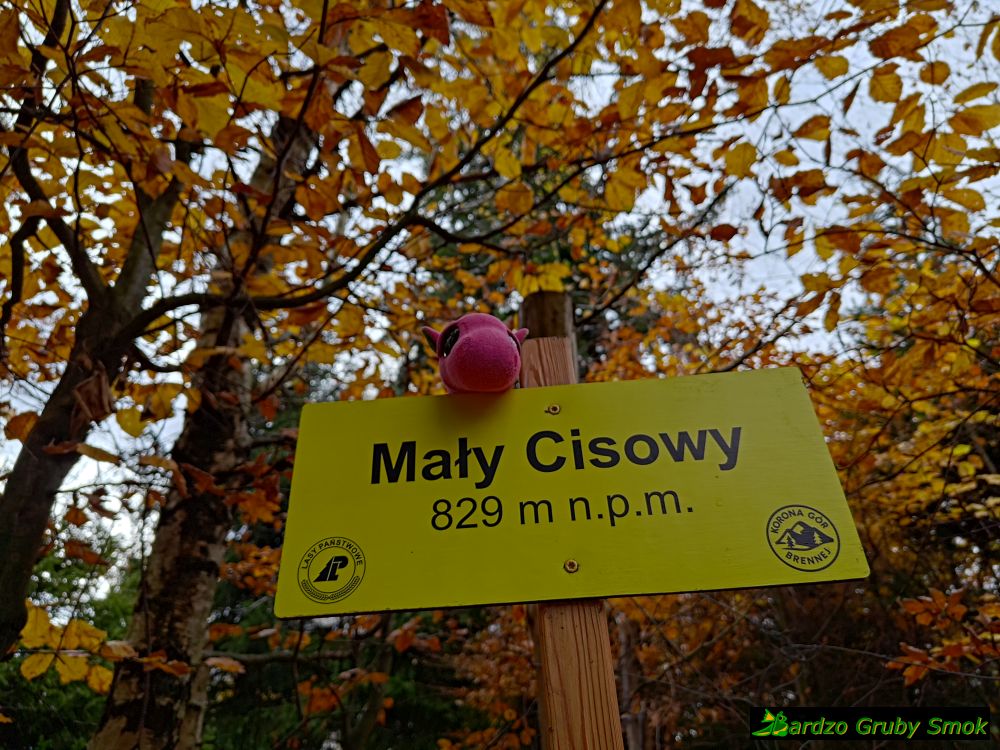 Mały Cisowy