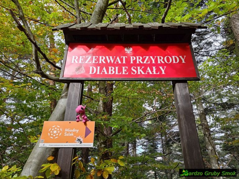 Rezerwat Przyrody Diable Skały
