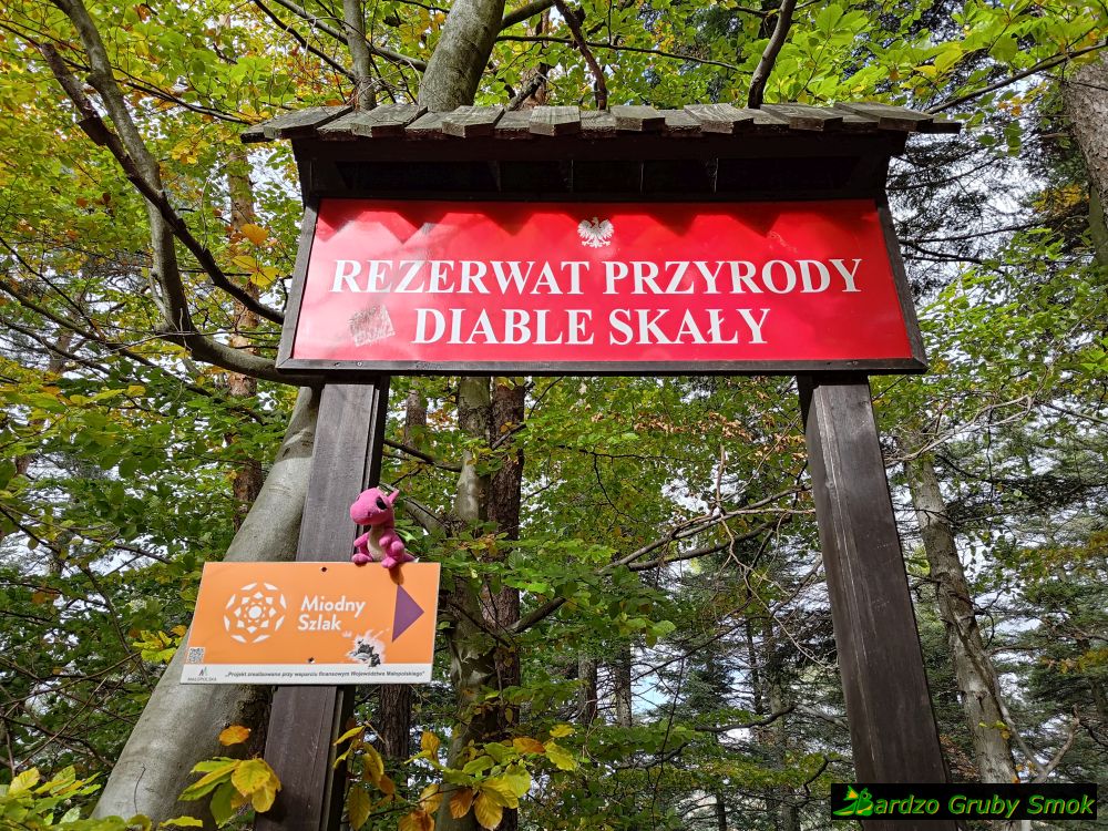 Rezerwat Przyrody Diable Skały