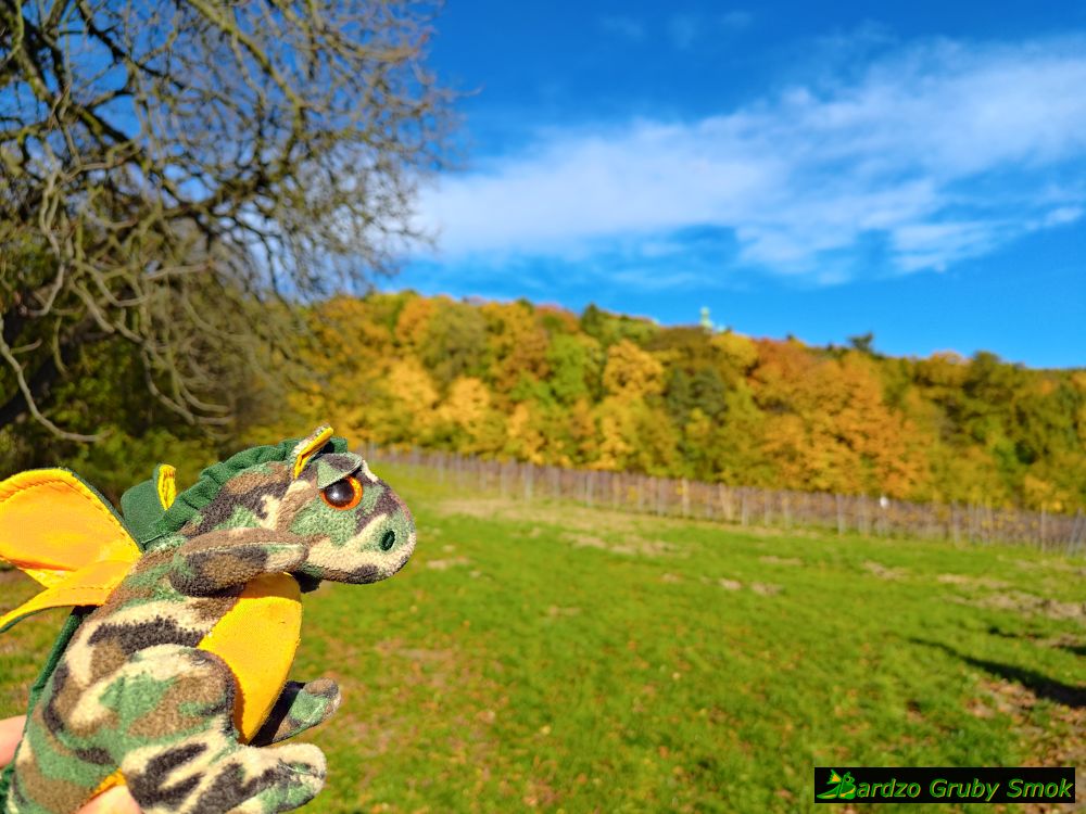jesień