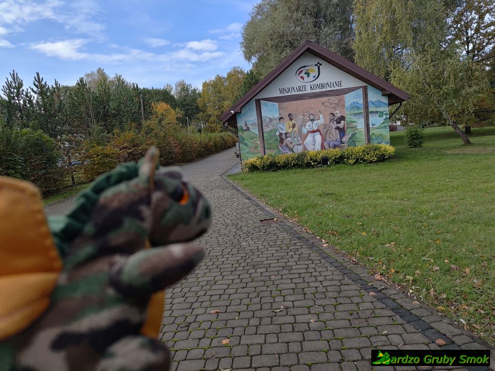 Misjonarze Kombonianie