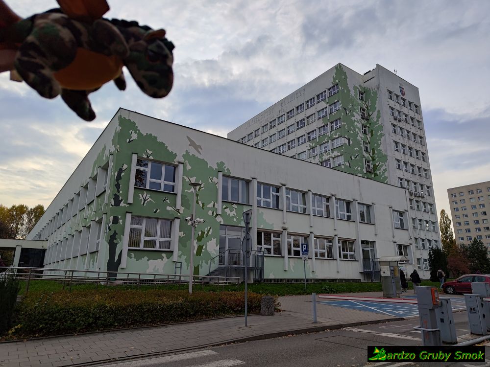 mural na Rolniczej