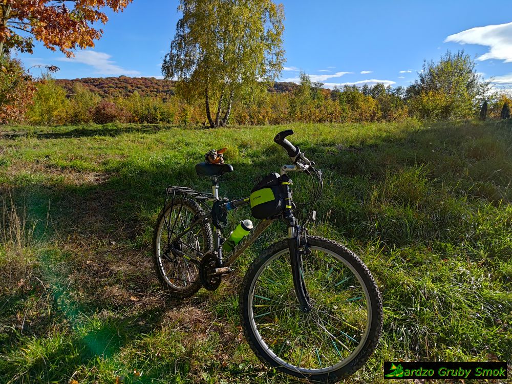 widok na Las Wolski