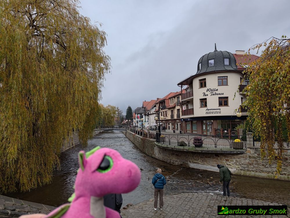 Bystrzyca Dusznicka w Polanicy