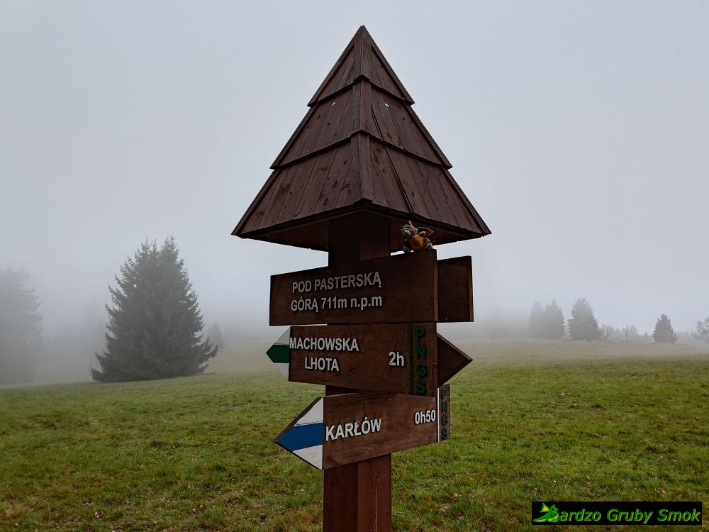 Pod Pasterską Górą