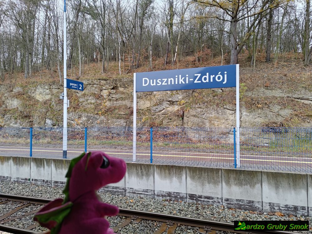 Stacja PKP Duszniki-Zdrój