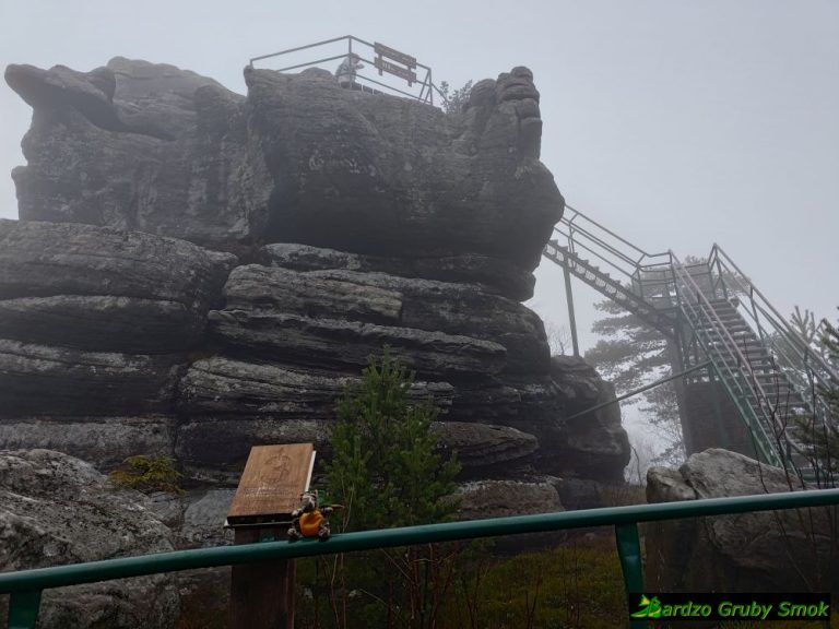 Szczeliniec Wielki - Tron Liczyrzepy