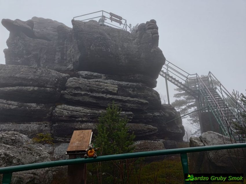 Szczeliniec Wielki - Tron Liczyrzepy