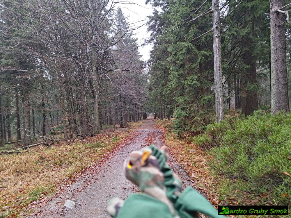 czerwony szlak na Orlicę