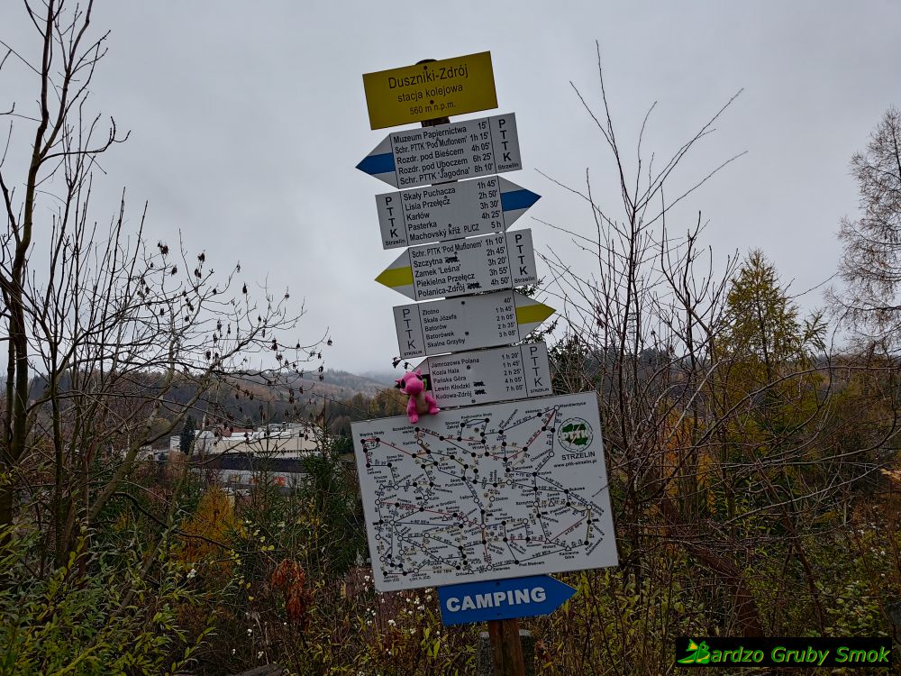 drogowskaz przed stacją w Dusznikach