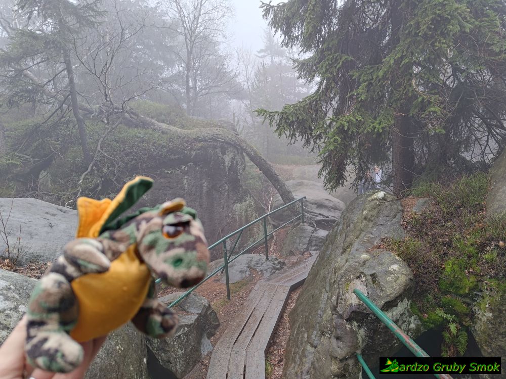 formacje skalne na Szczelińcu