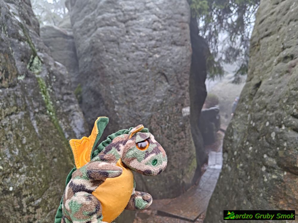 formacje skalne na Szczelińcu