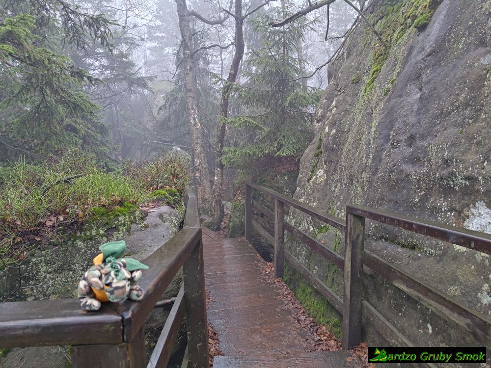 formacje skalne na Szczelińcu