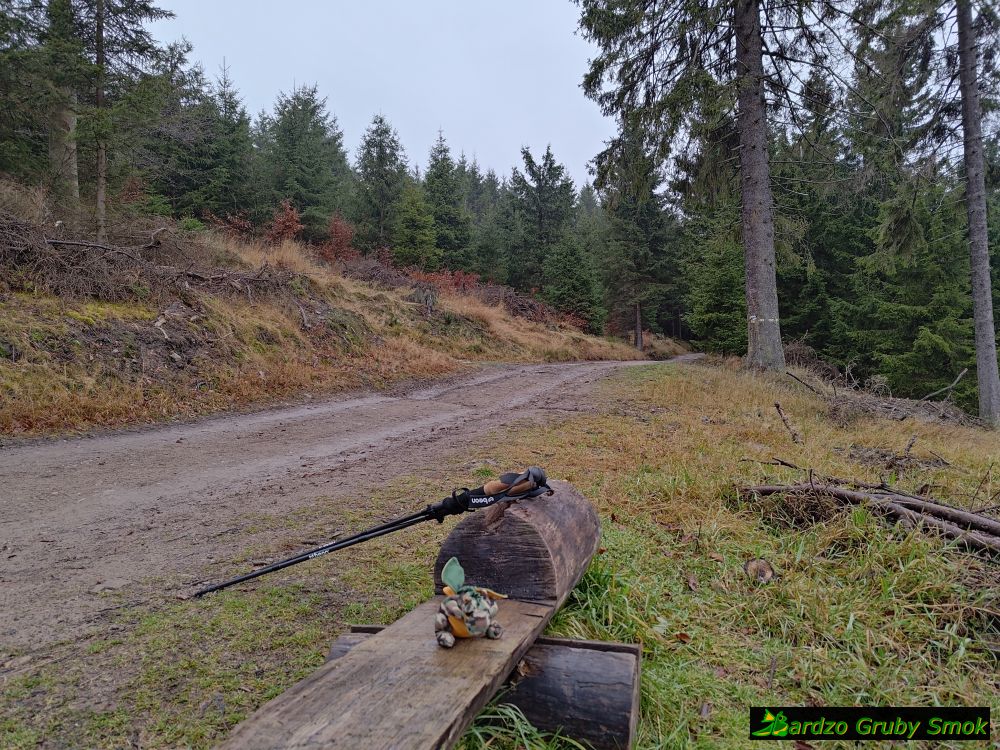 ławeczka na niebieskim szlaku