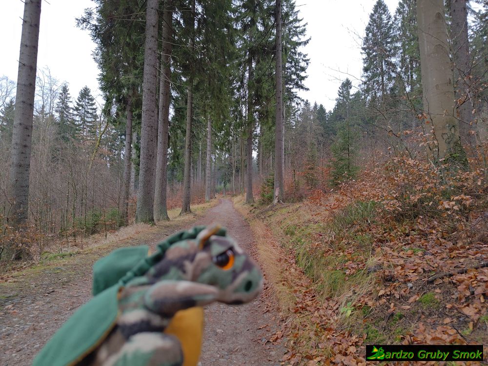 niebieski szlak z Zieleńca