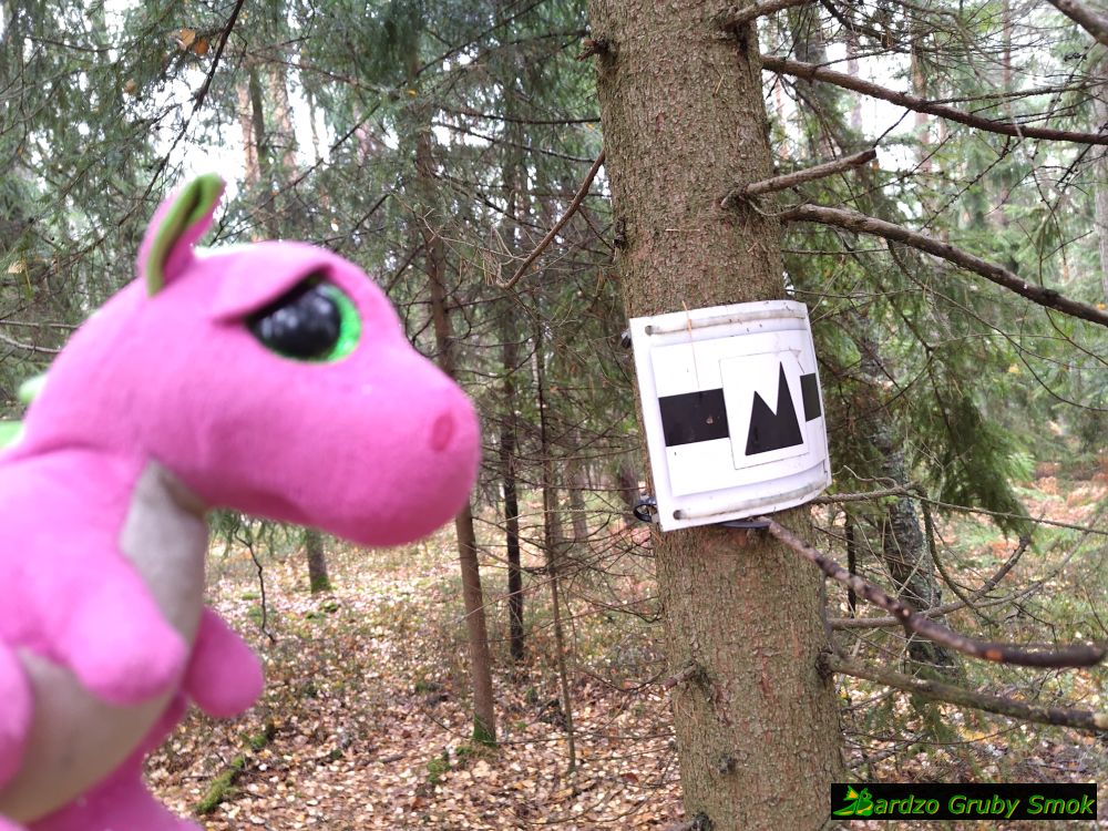 oznaczenia szlaku ze skałami