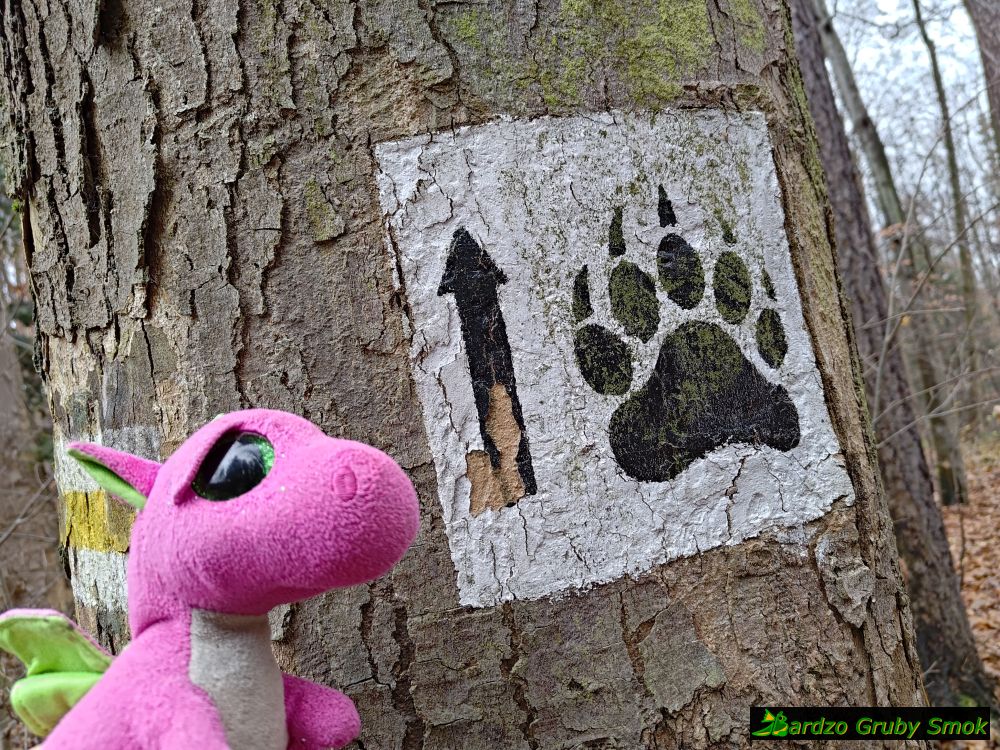 oznaczenie trasy Szlakiem Niedźwiadka