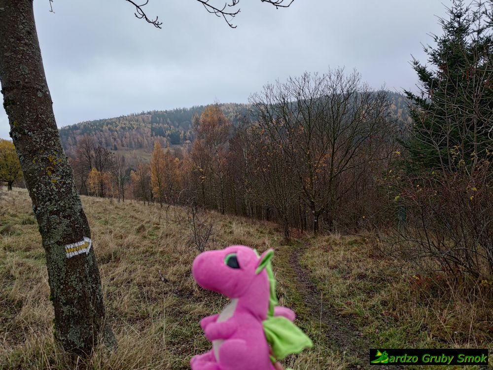 pod Wzgórzem Pustelnika