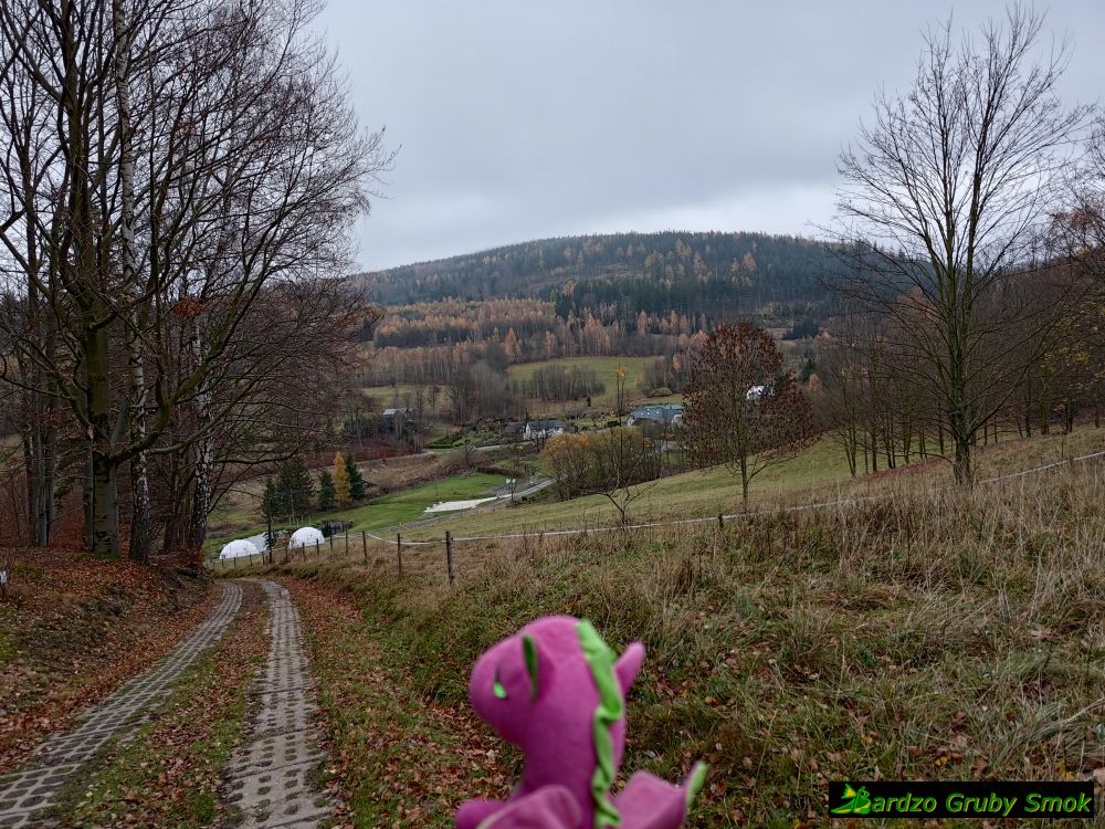 podejście w Borownikach