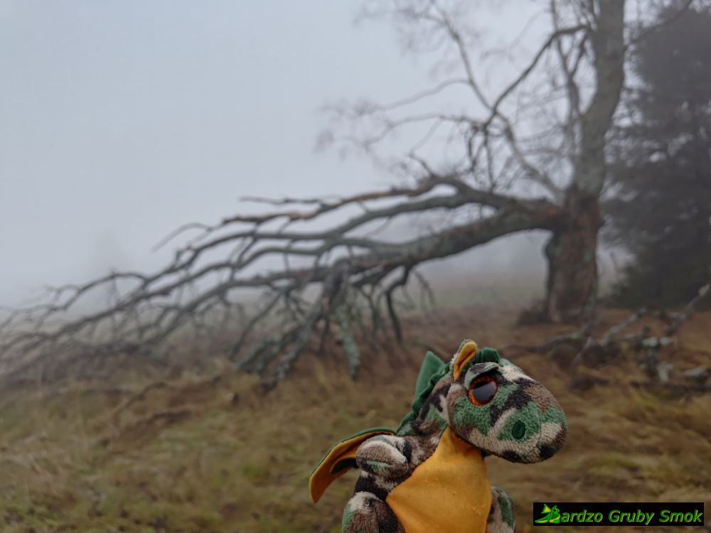 punkt widokowy na Szczeliniec