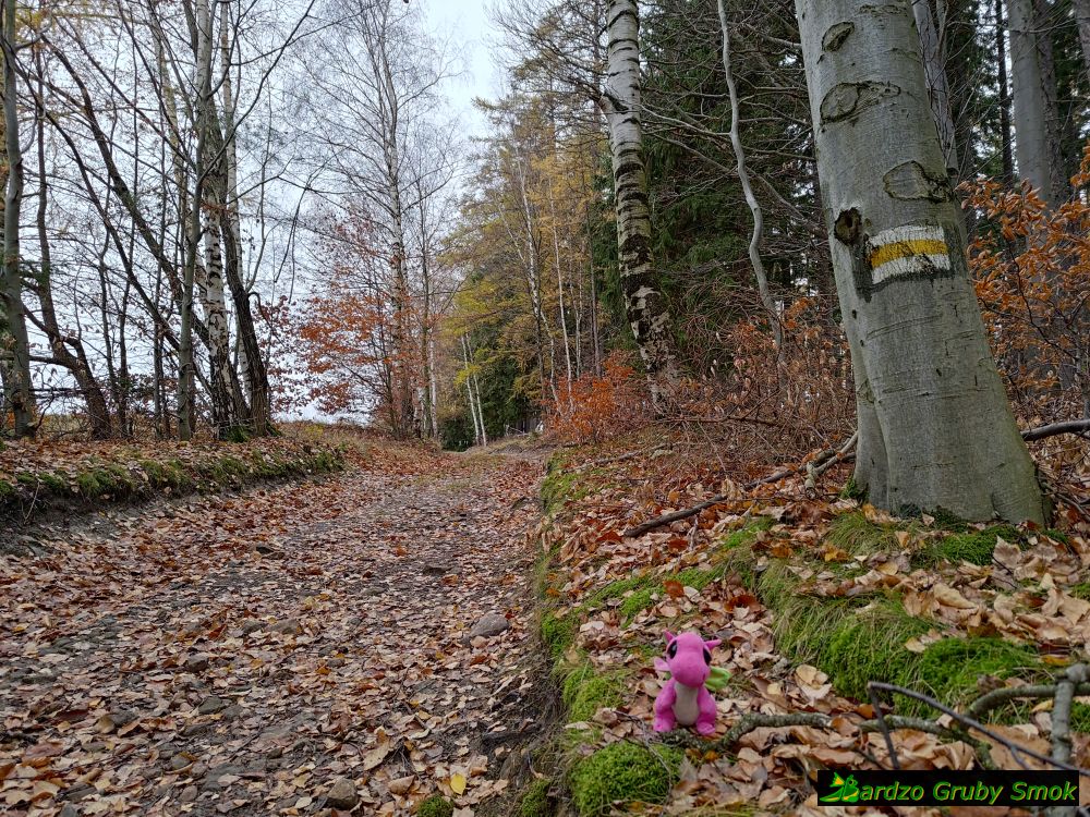 szlak obok Druciarza