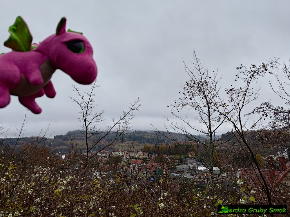 widok na Duszniki-Zdrój sprzed stacji PKP