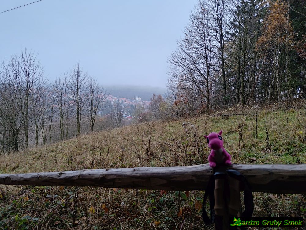 widok na Duszniki ze szlaku ze schroniska pod Muflonem