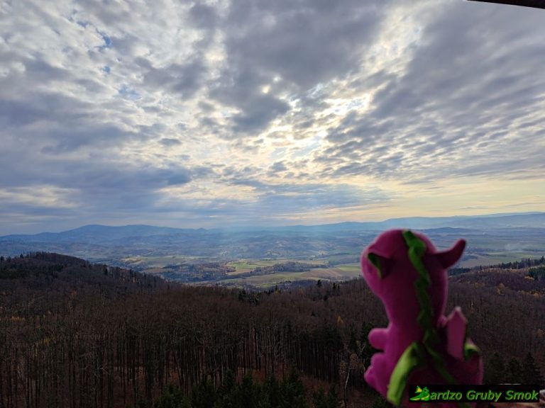 widok w stronę Śnieżnika
