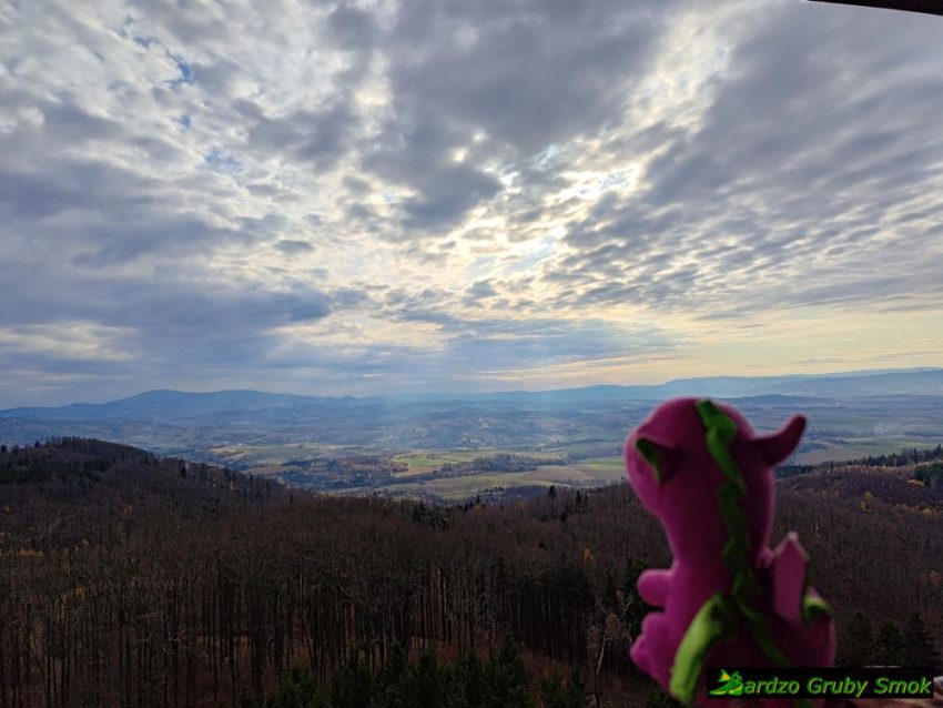 widok w stronę Śnieżnika