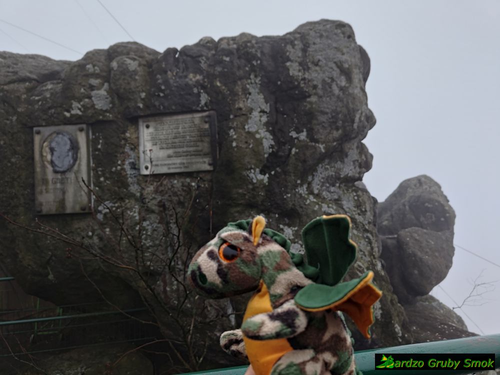 widoki sprzed schroniska