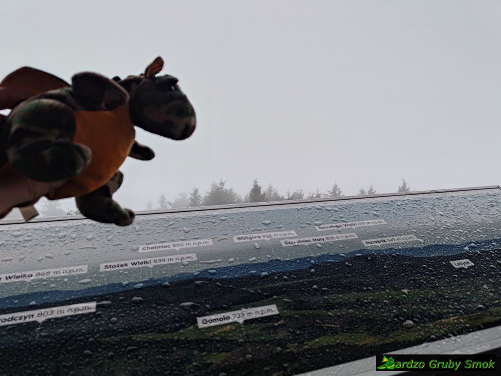 widoki z wieży na Orlicy