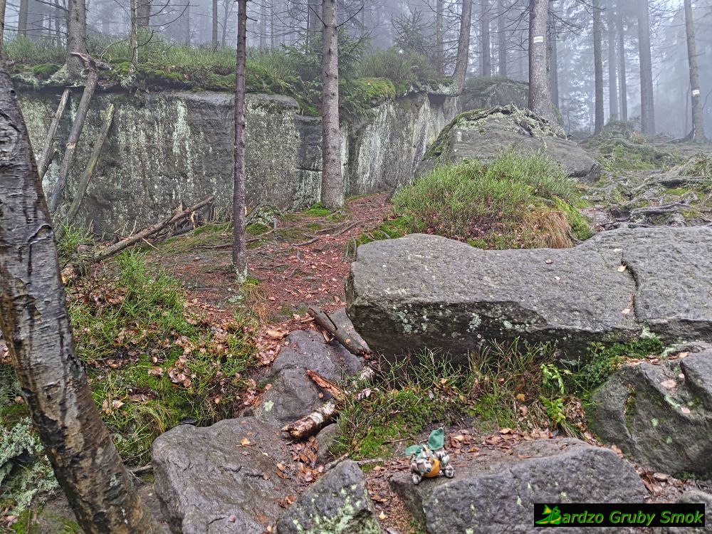 żółty szlak na Szczeliniec