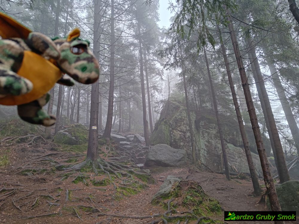 żółty szlak na Szczeliniec