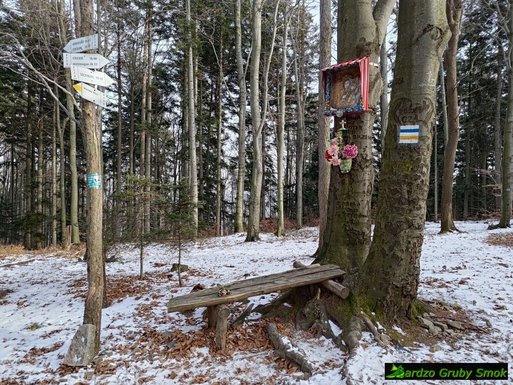 rozwidlenie szlaków pod Księżą Górą