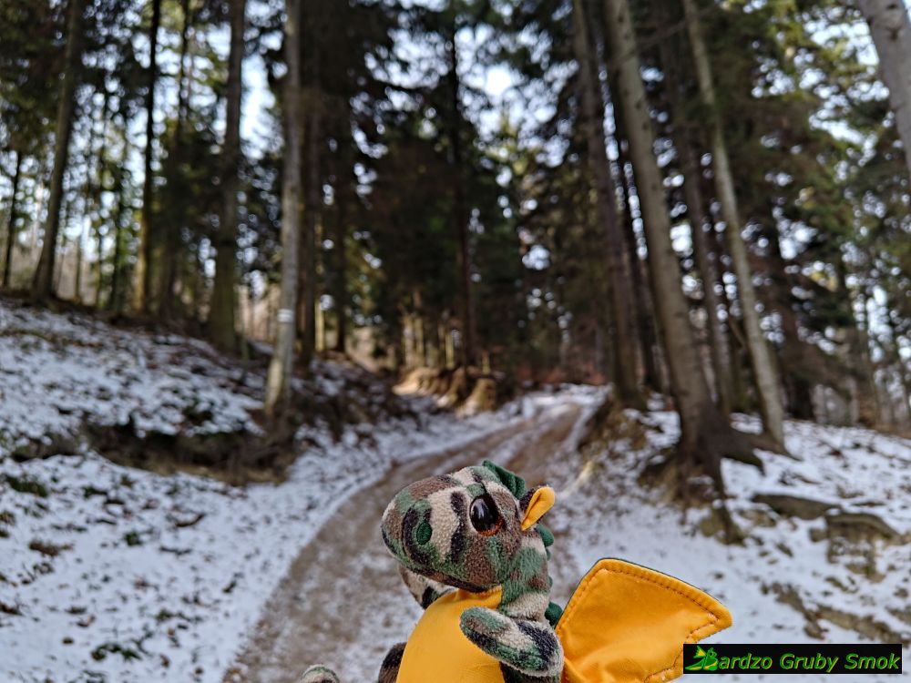 zielony szlak w stronę Ciecienia