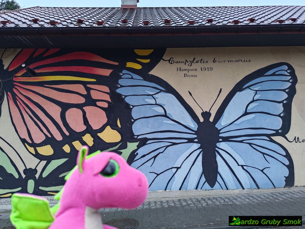 mural motyl